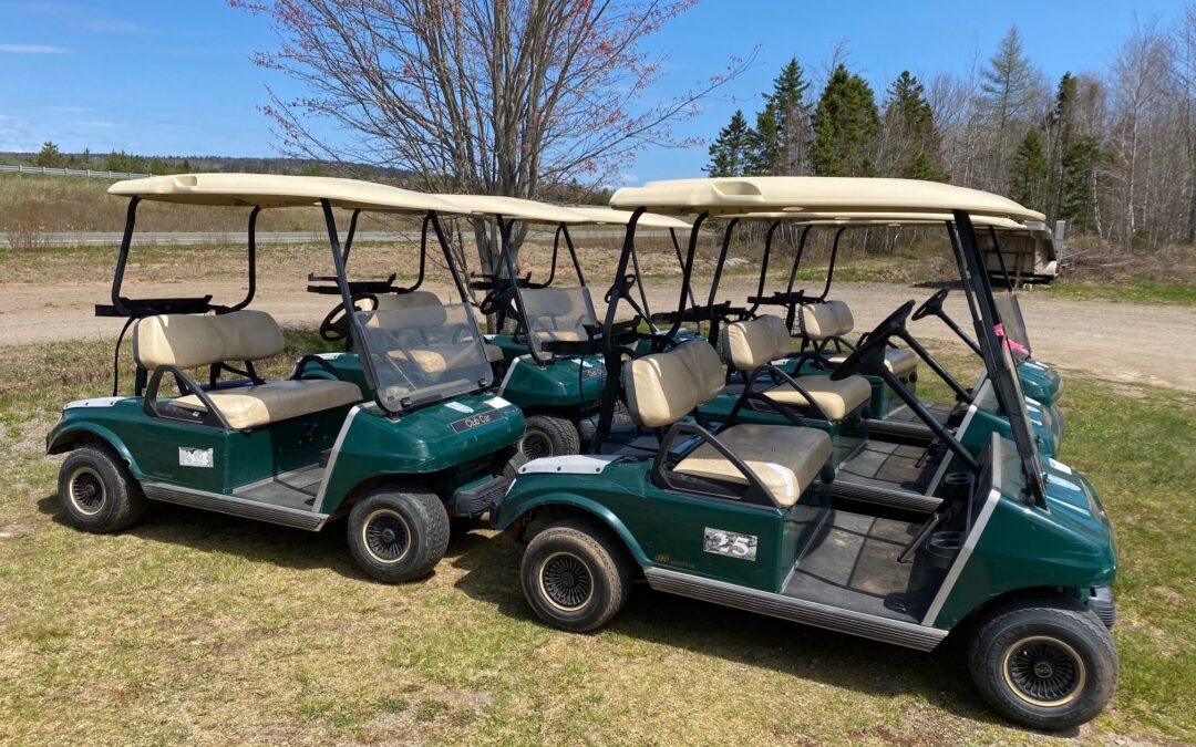 2007 Club Car Ds Gas Golf Cars