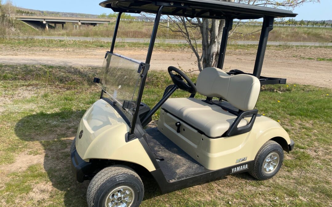 NEW YAMAHA Drive2 QUIETECH Fuel Injected Golf Car