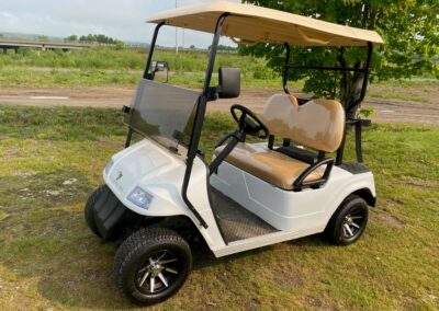 2022 AGT Electric Hobbit 2G