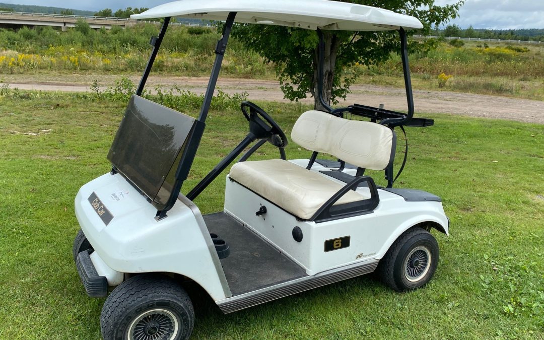 Used 2006 and 2008 Club Car DS Gas Golf Cars Available!