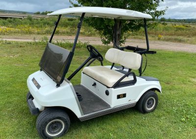 Used 2006 and 2008 Club Car DS Gas Golf Cars Available!