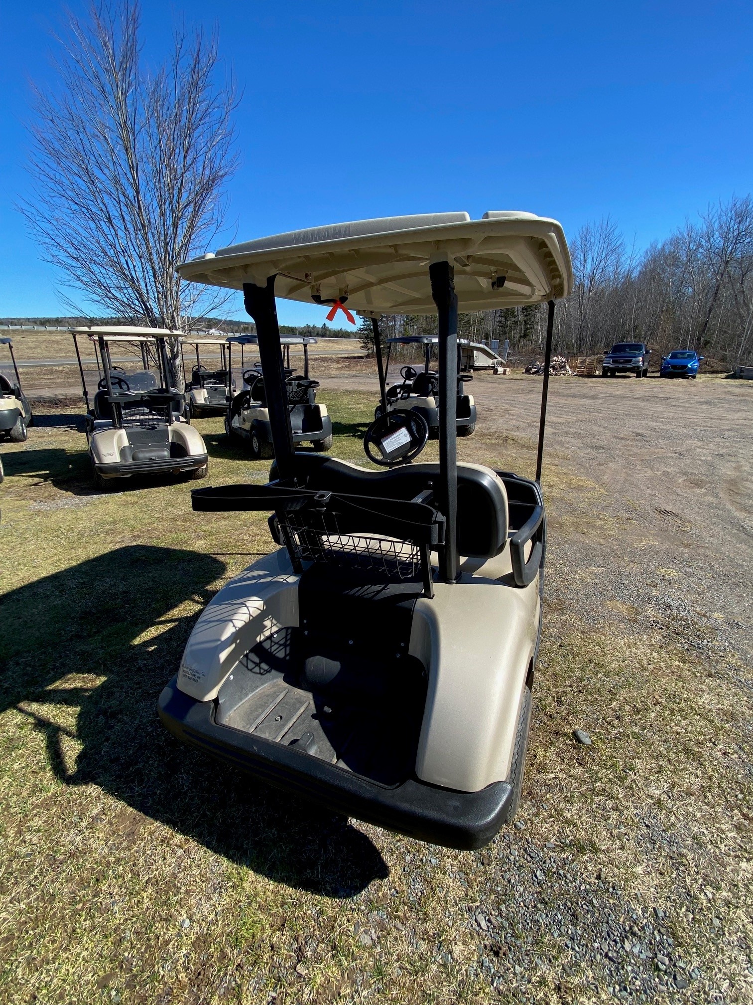2015 Yamaha Drive in Sandstone Metallic Rafuse Golf Cars Inc.