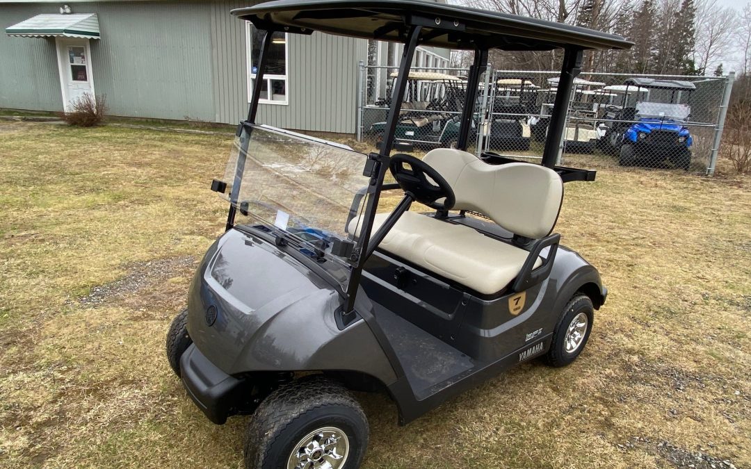 New 2024 Yamaha Drive2 Quietech in Carbon Grey Metallic