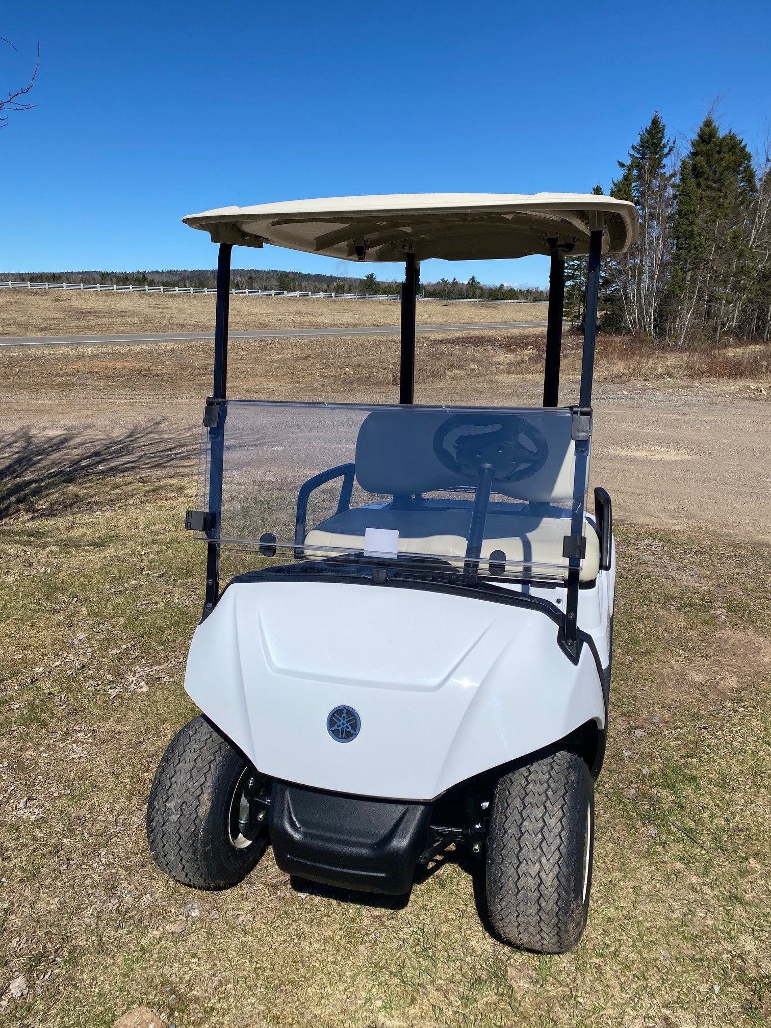 New 2024 Yamaha Drive2 Quietech in Glacier White Rafuse Golf Cars Inc.