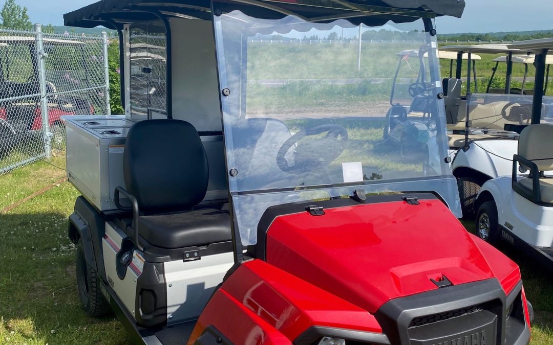 New 2024 Yamaha Umax Bistro (Deluxe Model) in Coral Red Metallic