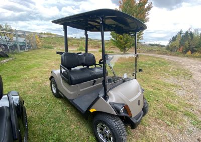 New 2024 Yamaha Drive2 PTV Titan Matte with Black Roof and Black Touring Seats