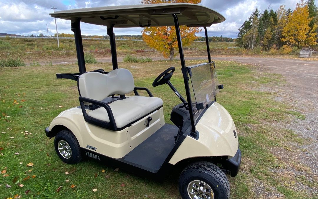 New 2025 Yamaha Drive2 Quietech Fuel Injected Golf Car in Sunstone