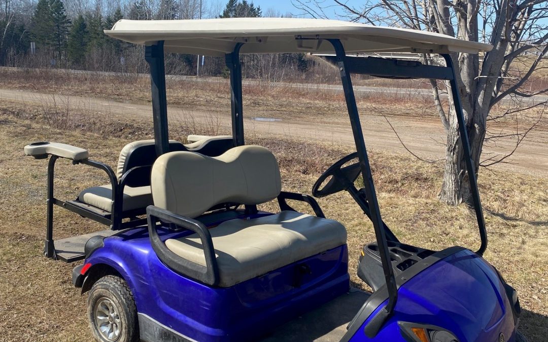 Used 2007 Yamaha Drive Gas with Rear Facing Seat