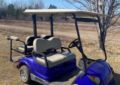 Used 2007 Yamaha Drive Gas with Rear Facing Seat