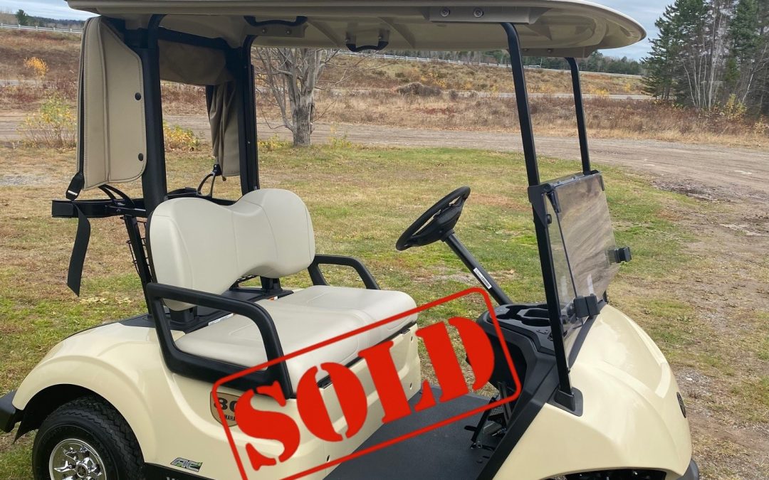 New 2025 Yamaha Drive2 AC Electric Golf Car in Sunstone