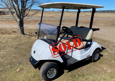 New 2024 Yamaha Drive2 Quietech in Glacier White