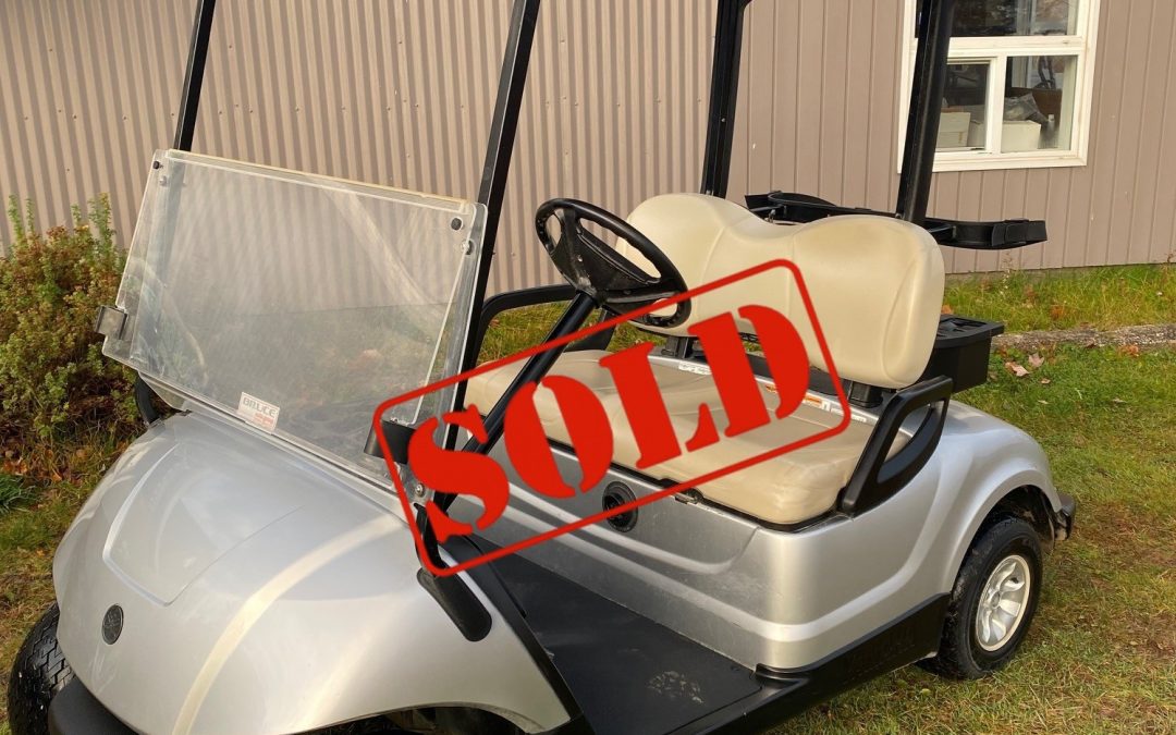 Pre-Owned 2014 Yamaha Drive 48 Volt Electric Moonstone