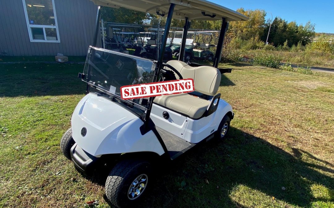 New 2025 Yamaha Drive2 AC Electric Golf Car in Glacier
