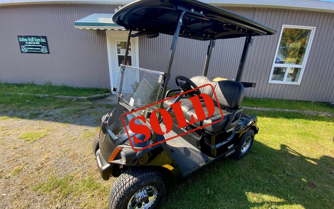 New 2024 Yamaha Drive2 PTV AC Electric with Black Roof