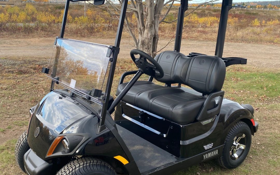 2026 Yamaha Drive2 QuieTech Fuel Injected Personal Transportation Vehicle (PTV)