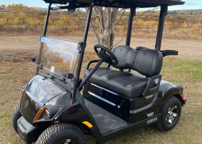 2026 Yamaha Drive2 QuieTech Fuel Injected Personal Transportation Vehicle (PTV)