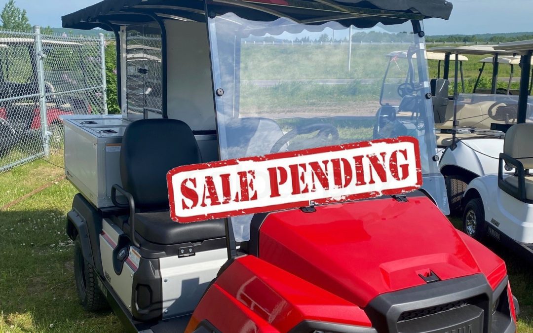 New 2024 Yamaha Umax Bistro (Deluxe Model) in Coral Red Metallic