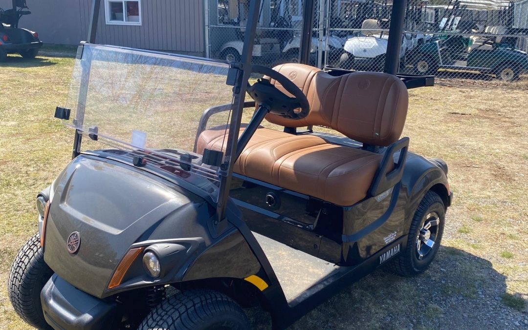 New 2026 Yamaha Drive2 48-Volt Electric Personal Transportation Vehicle (PTV)
