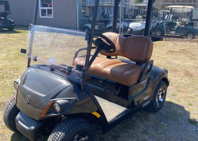 New 2026 Yamaha Drive2 48-Volt Electric Personal Transportation Vehicle (PTV)