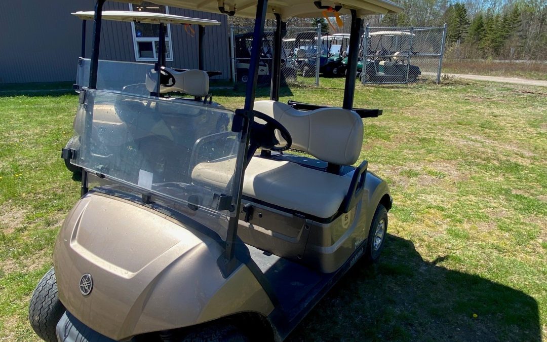 Used 2021 Yamaha Drive2 Electronic Fuel Injected Golf Cars