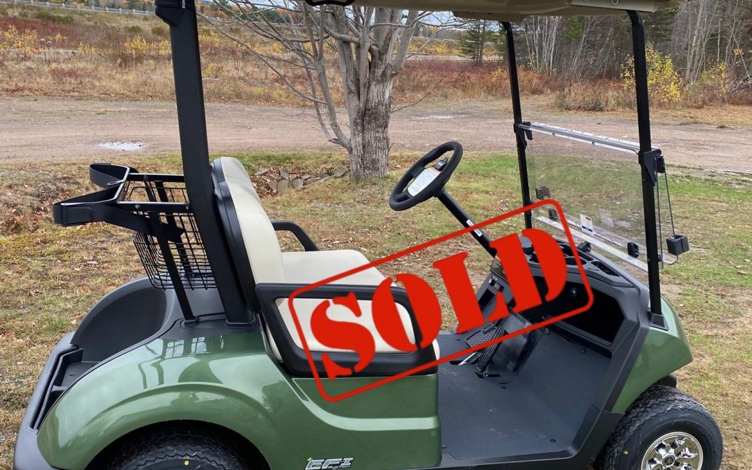 NEW 2026 Yamaha Drive2 QUIETECH Fuel Injected Golf Car in Evergreen Metallic.
