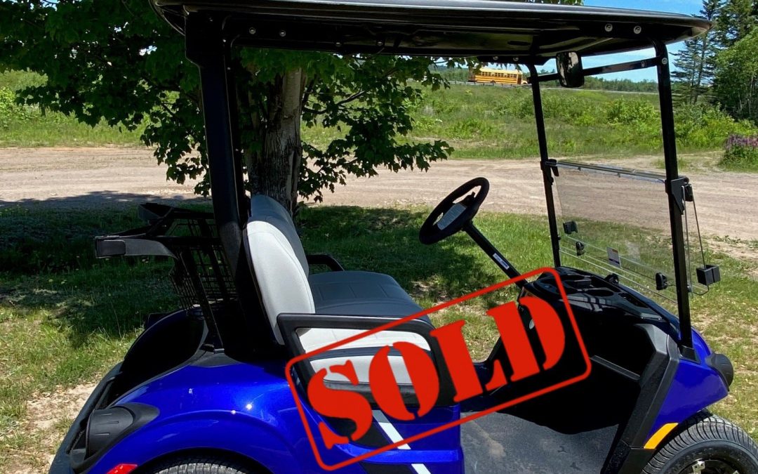 New 2026 Yamaha Drive2 QuieTech PTV in Yamaha Racing Blue