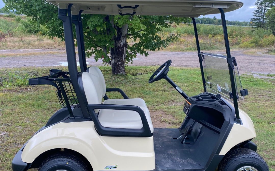NEW 2027 Yamaha Drive2 48-Volt AC Electric Golf Car in Sunstone